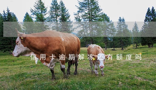 信用卡逾期解冻还有额度吗 信用卡逾期解冻还有额度吗