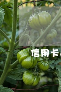 信用卡逾期解封零额度 信用卡逾期解封零额度