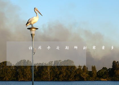 信用卡逾期解封需要多长时间 信用卡逾期解封需要多长时间