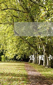信用卡逾期解锁过6个月 信用卡逾期解锁过6个月