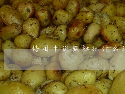 信用卡逾期触犯什么法律 信用卡逾期触犯什么法律