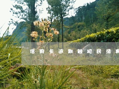 信用卡逾期触犯民法典 信用卡逾期触犯民法典