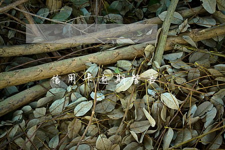 信用卡逾期警告 信用卡逾期警告