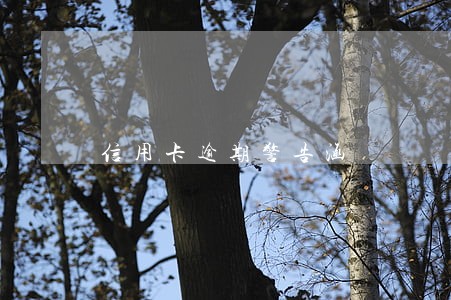 信用卡逾期警告涵