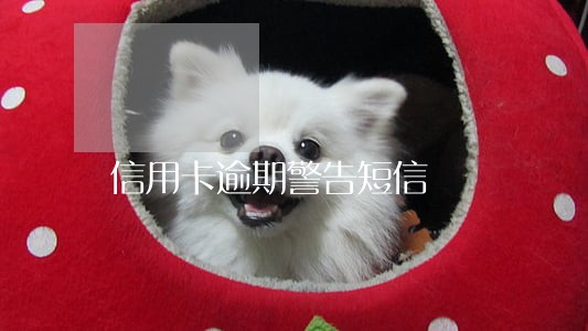 信用卡逾期警告短信