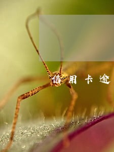 信用卡逾期警察上门拘留我 信用卡逾期警察上门拘留我