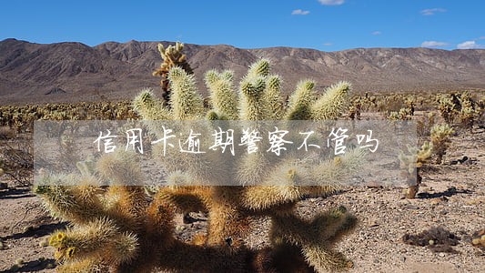 信用卡逾期警察不管吗 信用卡逾期警察不管吗