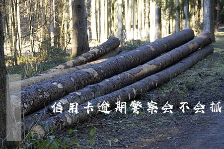 信用卡逾期警察会不会抓人 信用卡逾期警察会不会抓人