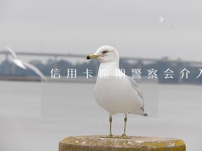 信用卡逾期警察会介入吗