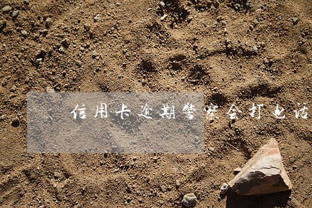 信用卡逾期警察会打电话 信用卡逾期警察会打电话