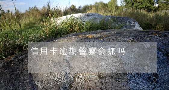 信用卡逾期警察会抓吗 信用卡逾期警察会抓吗