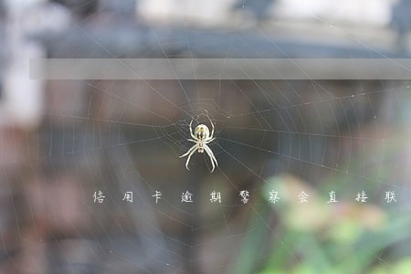 信用卡逾期警察会直接联系吗