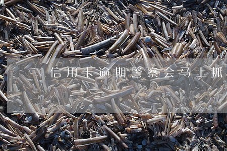 信用卡逾期警察会马上抓人 信用卡逾期警察会马上抓人