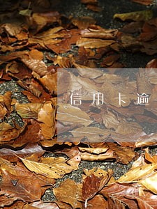 信用卡逾期警察做笔录 信用卡逾期警察做笔录