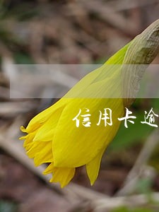 信用卡逾期警察受理吗