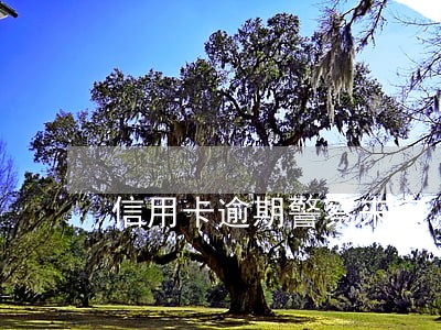 信用卡逾期警察来家 信用卡逾期警察来家