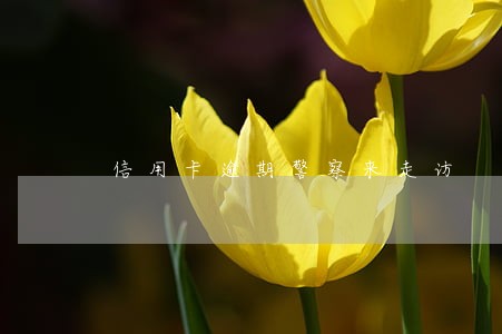 信用卡逾期警察来走访 信用卡逾期警察来走访