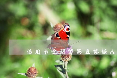信用卡逾期警察直接抓人么