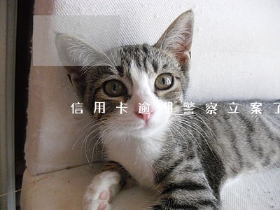 信用卡逾期警察立案了多久传唤 信用卡逾期警察立案了多久传唤