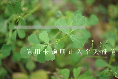 信用卡逾期计入个人征信