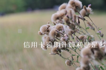 信用卡逾期计算利息是多少
