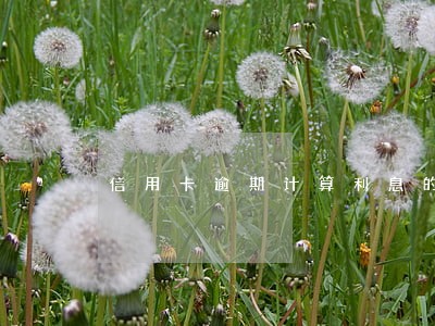 信用卡逾期计算利息的期限