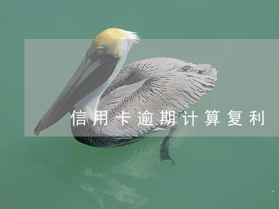 信用卡逾期计算复利 信用卡逾期计算复利
