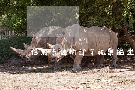 信用卡逾期订了机票能坐吗 信用卡逾期订了机票能坐吗