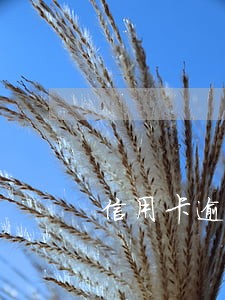 信用卡逾期让上传户口本 信用卡逾期让上传户口本