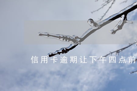 信用卡逾期让下午四点前还上 信用卡逾期让下午四点前还上