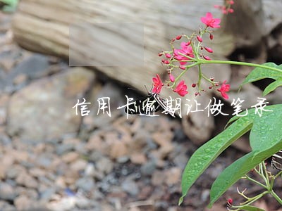 信用卡逾期让做笔录 信用卡逾期让做笔录