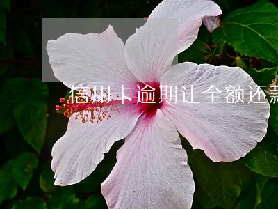 信用卡逾期让全额还款 信用卡逾期让全额还款