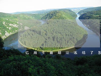 信用卡逾期让冻结了怎么办