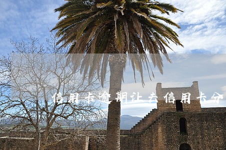 信用卡逾期让去信用卡分中心 信用卡逾期让去信用卡分中心