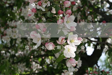 信用卡逾期让去公安局我该不该去