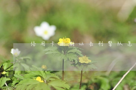 信用卡逾期让去刑警队怎么办 信用卡逾期让去刑警队怎么办