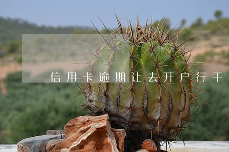 信用卡逾期让去开户行干什么 信用卡逾期让去开户行干什么