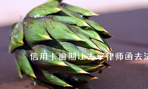 信用卡逾期让去拿律师函去法庭 信用卡逾期让去拿律师函去法庭