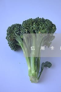信用卡逾期让去柜面签字 信用卡逾期让去柜面签字