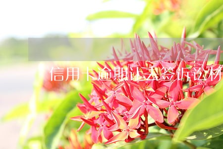 信用卡逾期让去签诉讼材料