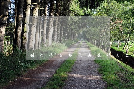 信用卡逾期让去银行怎么办