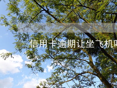 信用卡逾期让坐飞机吗 信用卡逾期让坐飞机吗