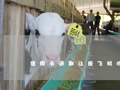 信用卡逾期让座飞机吗 信用卡逾期让座飞机吗
