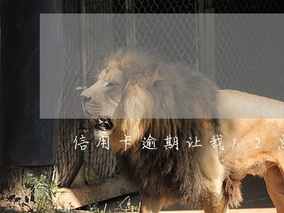 信用卡逾期让我12点前还
