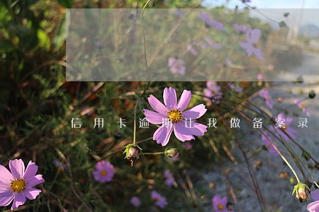 信用卡逾期让我做备案录音 信用卡逾期让我做备案录音