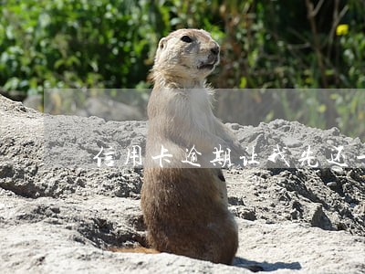 信用卡逾期让我先还一部分 信用卡逾期让我先还一部分