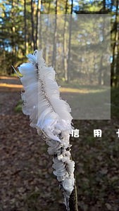 信用卡逾期让我出庭