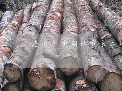 信用卡逾期让我去上海 信用卡逾期让我去上海