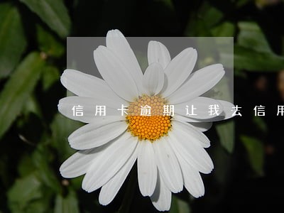 信用卡逾期让我去信用卡中心 信用卡逾期让我去信用卡中心