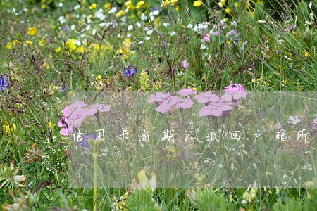 信用卡逾期让我回户籍所在地 信用卡逾期让我回户籍所在地